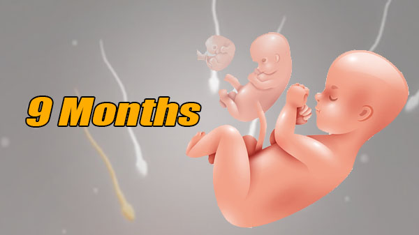 9 Months v1.4.8 Apk Mod [Diamantes Infinitos]