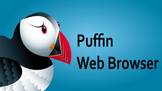 Puffin Browser Pro v9.7.0.51211 Apk [Versão Completa]
